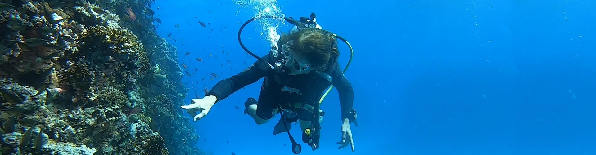 SUBEX Diver Kurs ohne Theorie- alles Inklusive (ausser Nationalparkgebühr bei Bootsaufahrt)